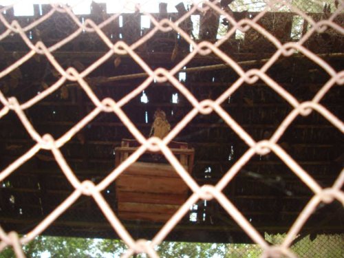 DSC03747_1